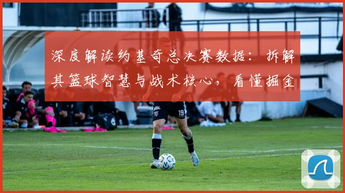 深度解读约基奇总决赛数据：拆解其篮球智慧与战术核心，看懂掘金队如何赢球